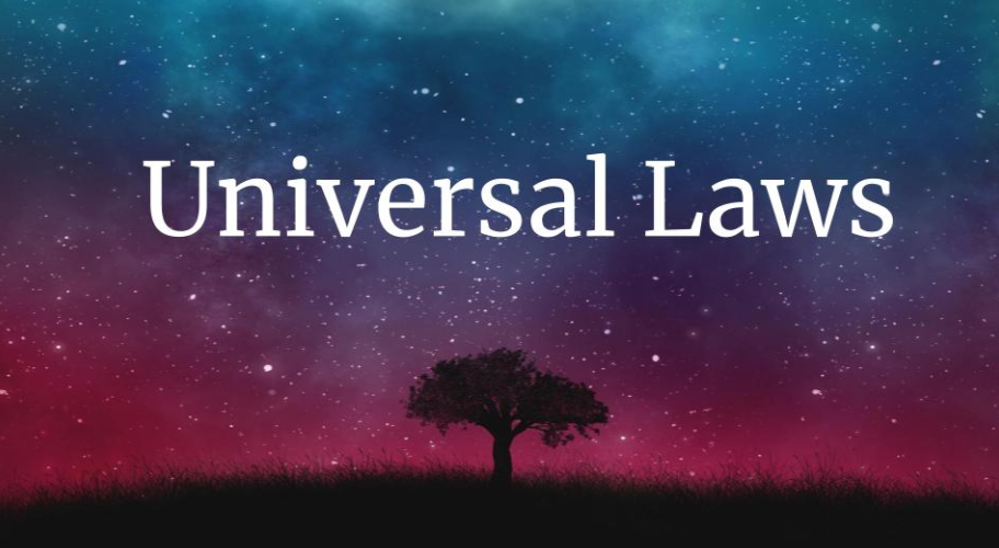 12 Universal Laws and How To Use Them
