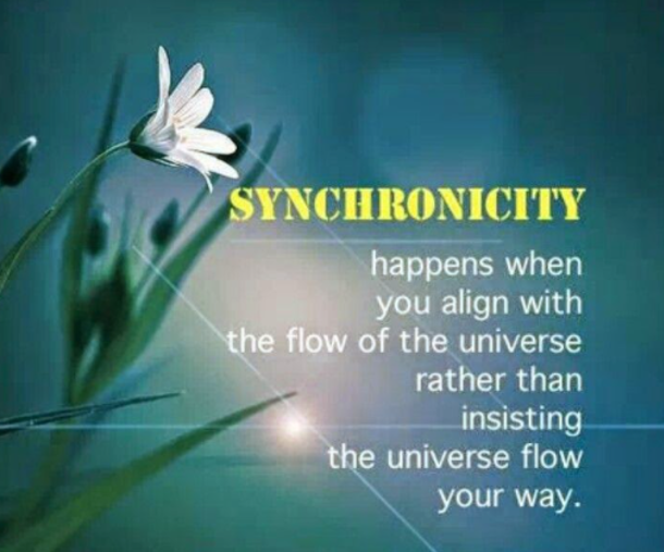 synchronicity-happens-when-you-align-with-the-universe-connie-hertz